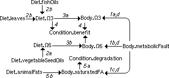 A DG with 12 attributes and 13 dependencies