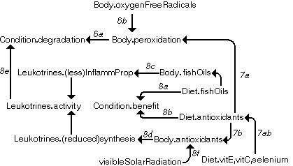 A DG with 13 attributes and 14 dependencies.