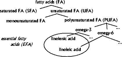 FA, sat.FA, UFA, PUFA, omega-3 & -6, linolenic & linoleic acid.